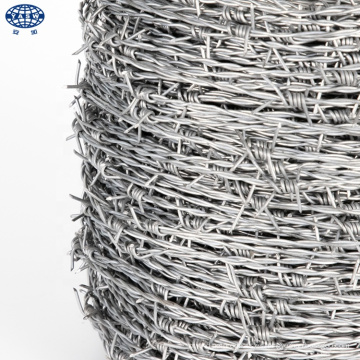 250 m de alta resistencia Galvanizado Galvanized Razor Barbed Wire